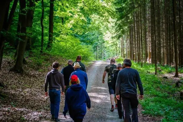 Gruppe von Personen geht einen Waldweg entlang, umgeben von Bäumen und Grün